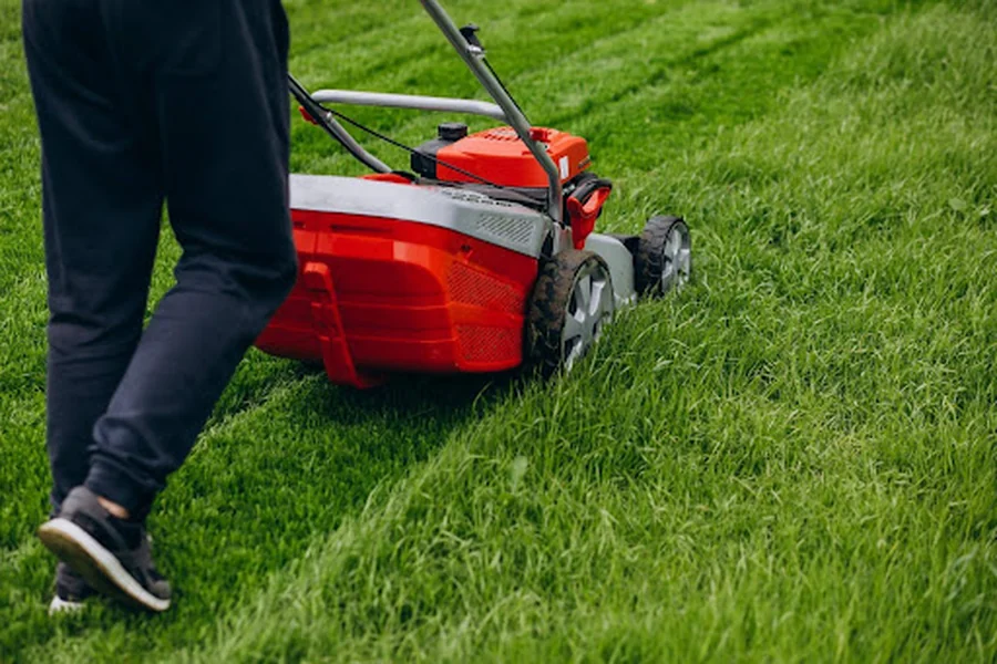Recurring Lawn