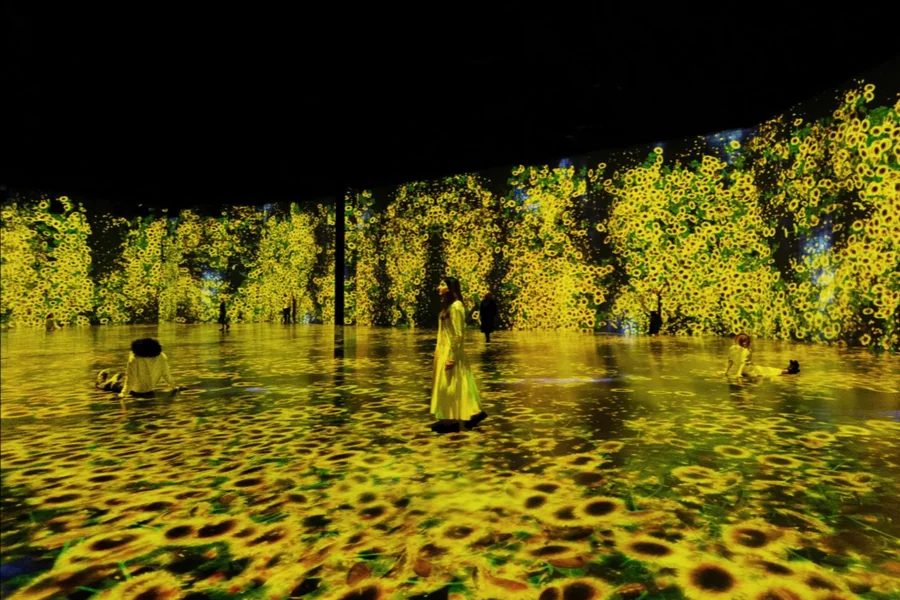 What Makes Immersive Exhibitions Different From Traditional Galleries