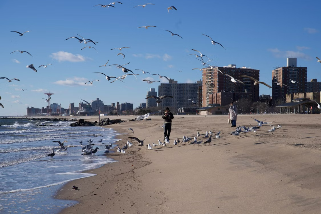 New York