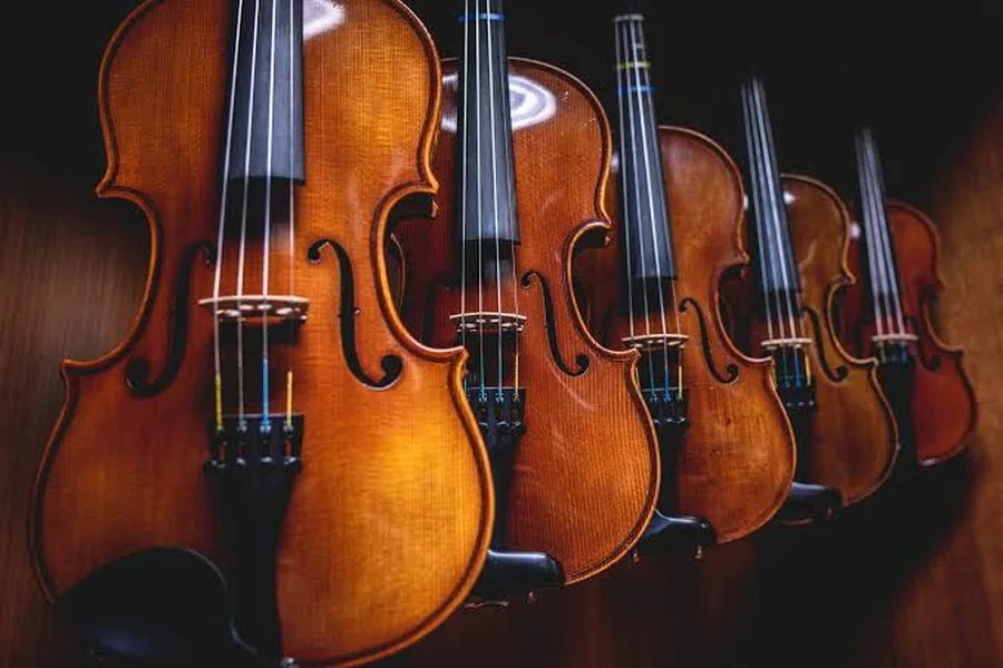 Instrument