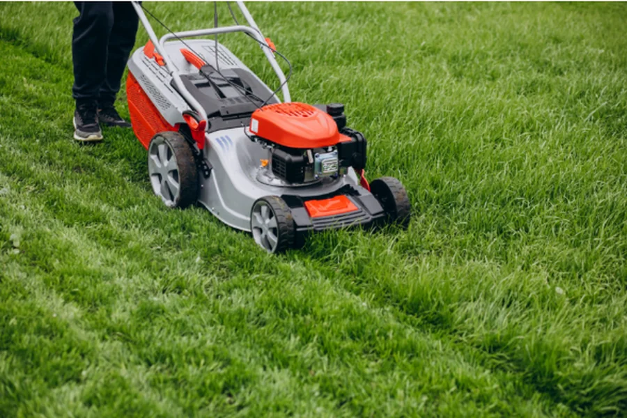 common lawn care mistakes